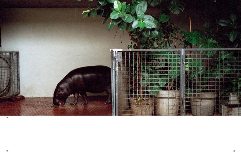 Aper&ccedil;u du contenu 4_Typologien: Photography in 20th-Century Germany