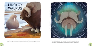 Sample content_Ukaliq: Muskoxen!