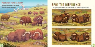 Sample content 3_Ukaliq: Muskoxen!