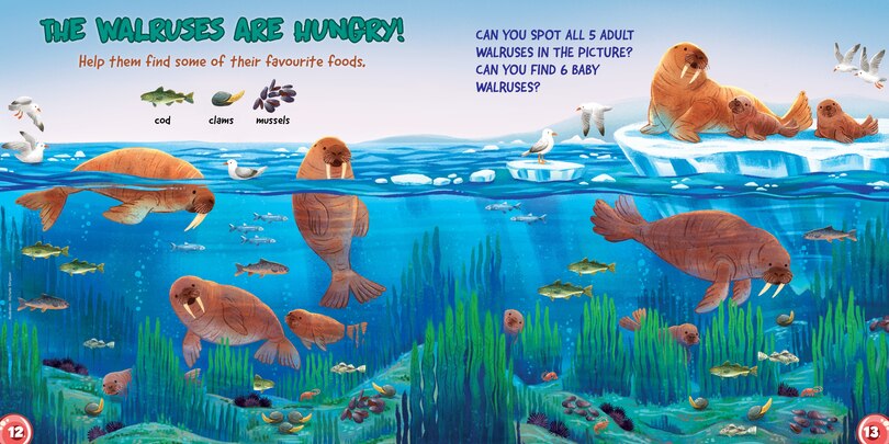 Sample content 3_Ukaliq: Walruses!