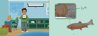 Sample content_Uliaq's Amazing Animals: Arctic Char