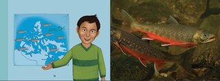 Sample content 5_Uliaq's Amazing Animals: Arctic Char