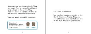 Sample content_Uliaq's Amazing Animals: Muskox