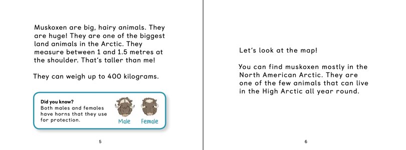 Sample content_Uliaq's Amazing Animals: Muskox