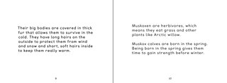 Sample content 3_Uliaq's Amazing Animals: Muskox