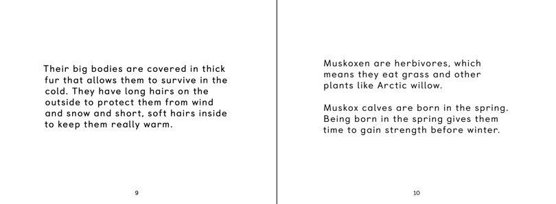 Sample content 3_Uliaq's Amazing Animals: Muskox
