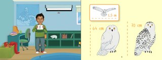 Sample content 4_Uliaq's Amazing Animals: Snowy Owl