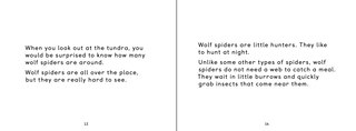 Aperçu du contenu_Uliaq's Amazing Animals: Wolf Spider