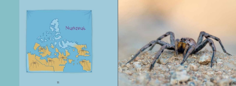Aperçu du contenu 5_Uliaq's Amazing Animals: Wolf Spider
