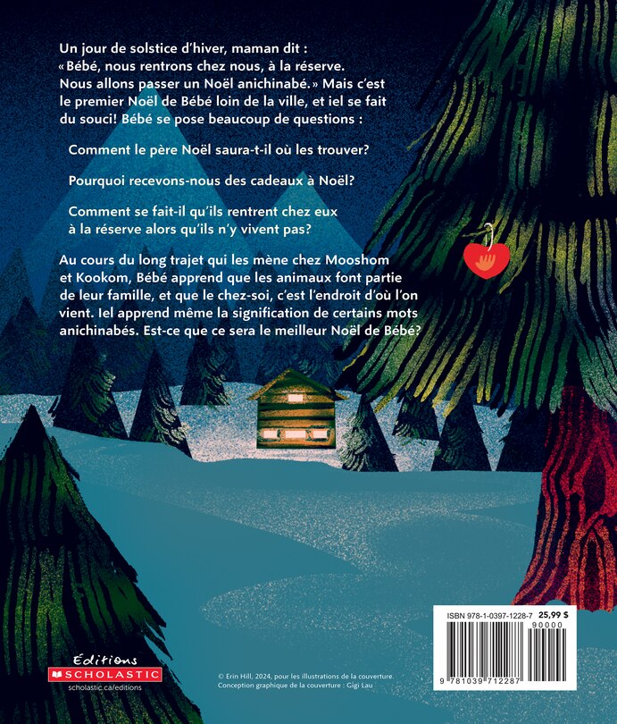 Back cover_Un No&euml;l anichinab&eacute;