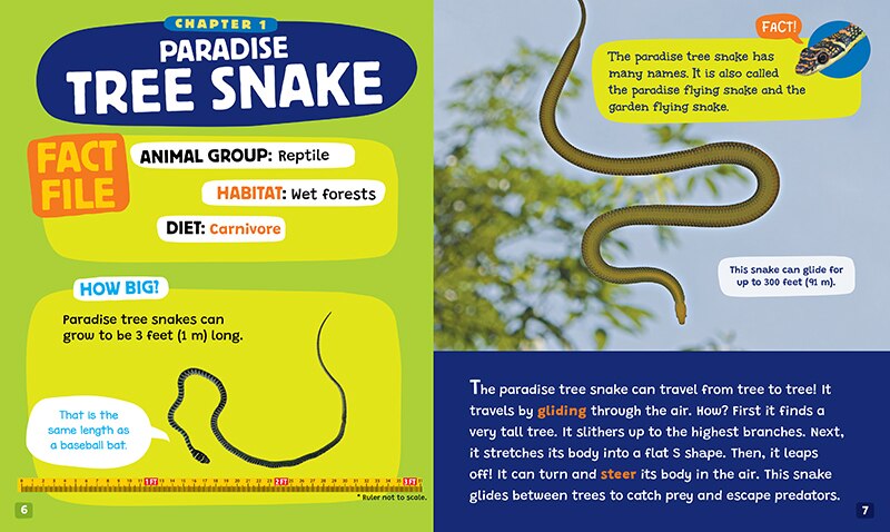 Aperçu du contenu_Unexpected Flyers (Learn About: Animals)