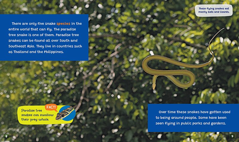 Aperçu du contenu 2_Unexpected Flyers (Learn About: Animals)