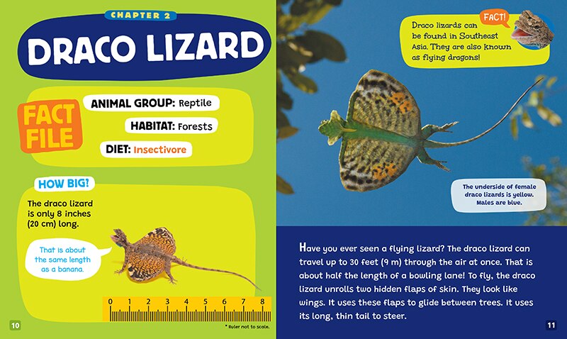Aperçu du contenu 3_Unexpected Flyers (Learn About: Animals)
