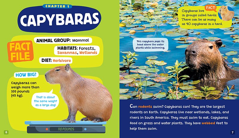 Aperçu du contenu_Unexpected Swimmers (Learn About: Animals)