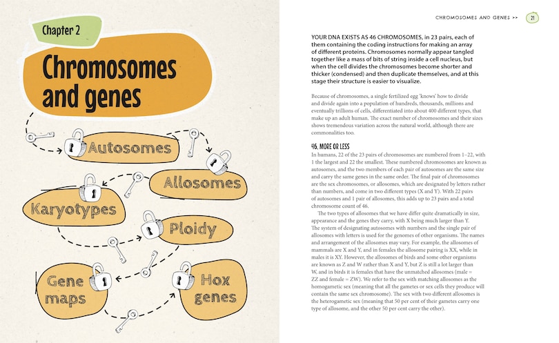 Aperçu du contenu_Unlock Genetics in 10 Concise Chapters