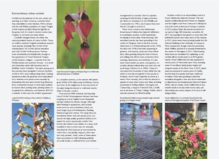 Aperçu du contenu 2_Urban Plants