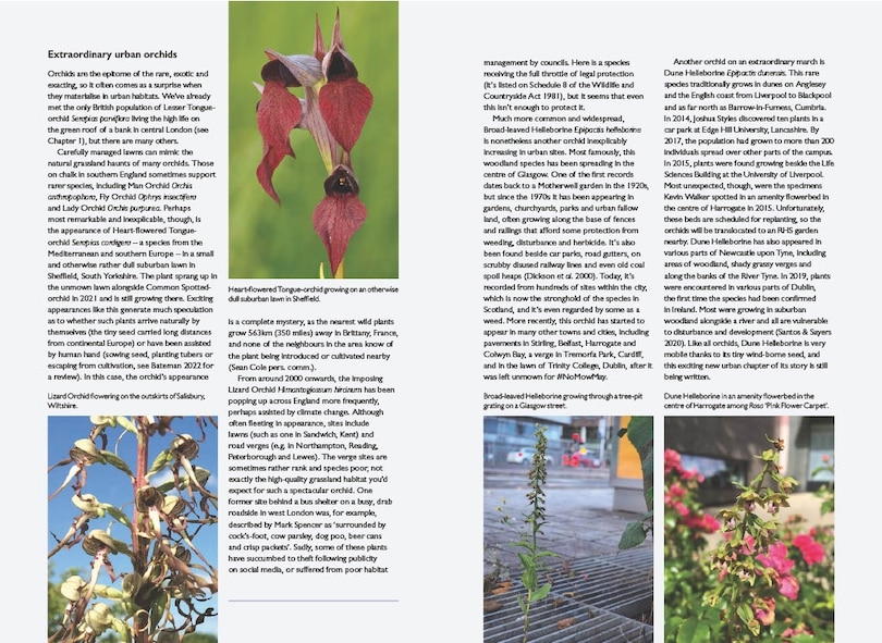 Aperçu du contenu 2_Urban Plants