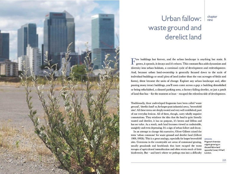 Aperçu du contenu 3_Urban Plants