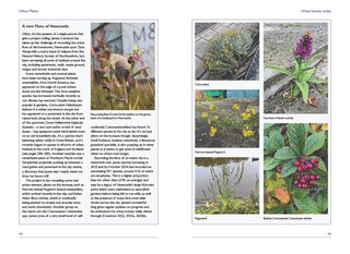 Aperçu du contenu 5_Urban Plants