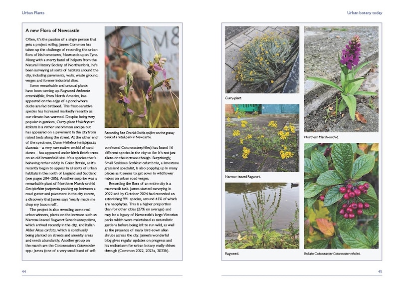 Aperçu du contenu 5_Urban Plants