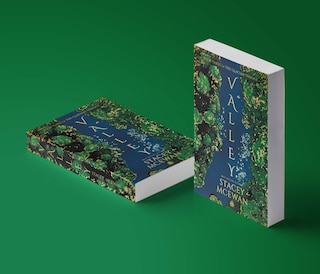 Aper&ccedil;u du contenu 2_Valley