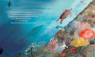 Sample content_Volcano