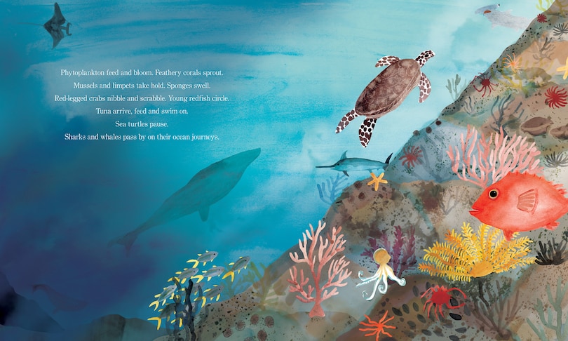 Sample content_Volcano