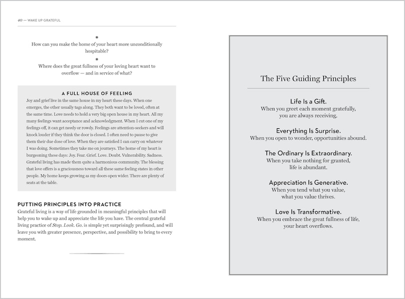 Aper&ccedil;u du contenu_Wake Up Grateful