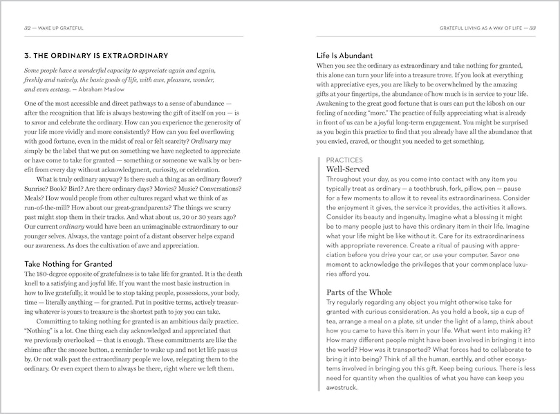 Aper&ccedil;u du contenu 2_Wake Up Grateful