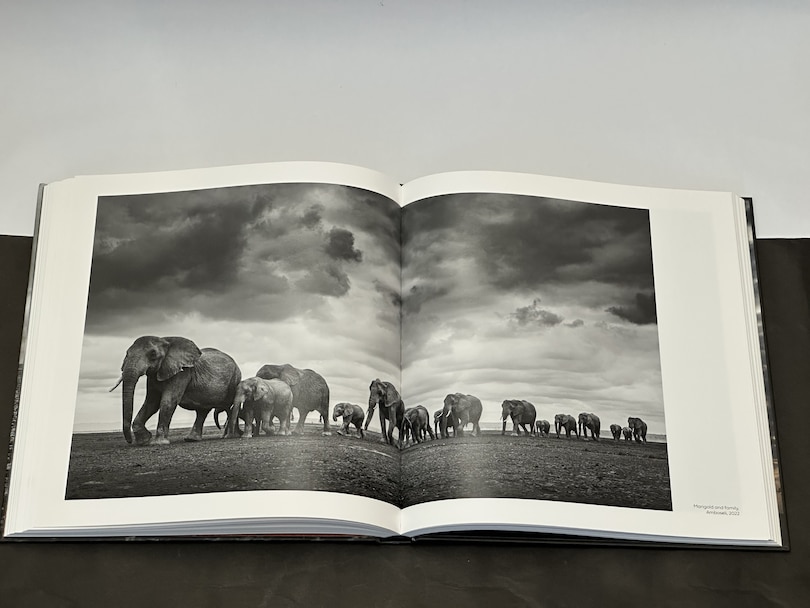 Sample content 2_Walk the Earth