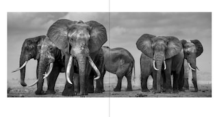Sample content 4_Walk the Earth