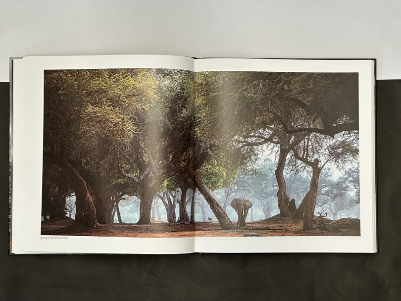 Sample content 5_Walk the Earth
