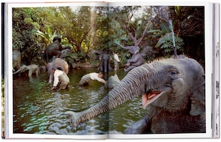 Sample content 5_Walt Disney’s Disneyland