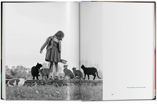 Aperçu du contenu_Walter Chandoha. Cats. Photographs 1942–2018