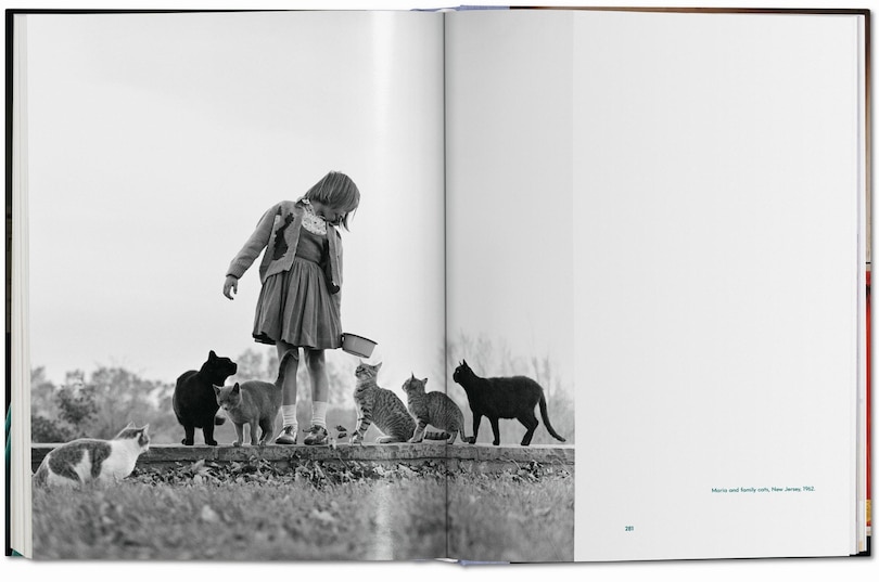 Aperçu du contenu_Walter Chandoha. Cats. Photographs 1942–2018