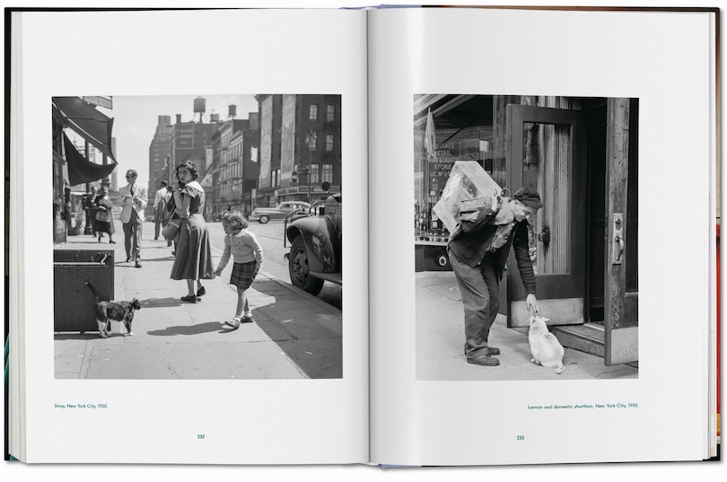 Aperçu du contenu 3_Walter Chandoha. Cats. Photographs 1942–2018