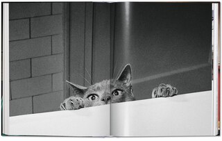 Aperçu du contenu 5_Walter Chandoha. Cats. Photographs 1942–2018