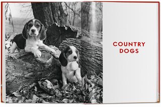 Sample content 3_Walter Chandoha. Dogs. Photographs 1941–1991
