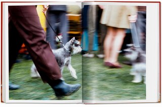 Sample content 4_Walter Chandoha. Dogs. Photographs 1941–1991