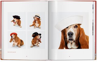 Sample content 5_Walter Chandoha. Dogs. Photographs 1941–1991