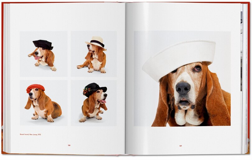Sample content 5_Walter Chandoha. Dogs. Photographs 1941–1991