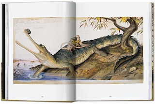 Aperçu du contenu 5_Walton Ford. 40th Ed.