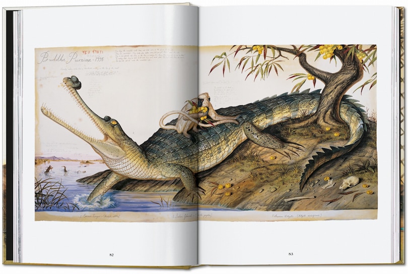 Aperçu du contenu 5_Walton Ford. 40th Ed.