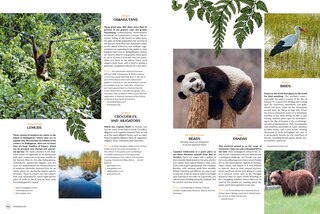 Sample content 2_Wanderlust