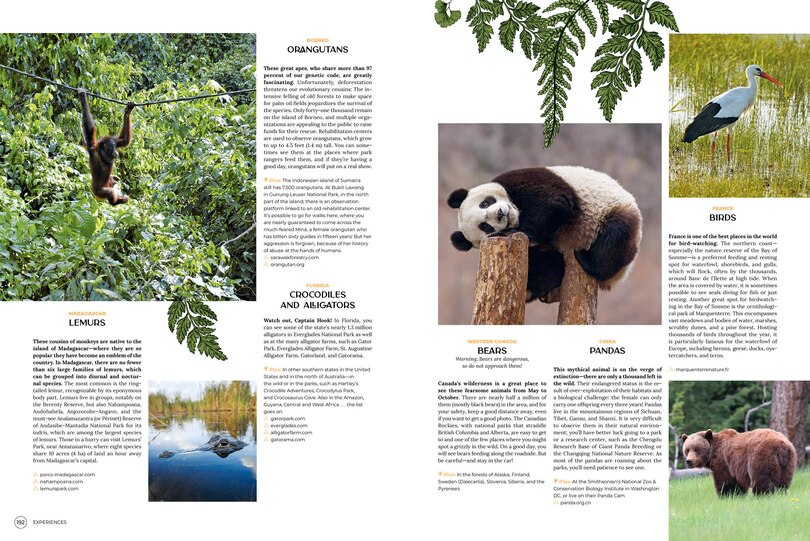 Sample content 2_Wanderlust
