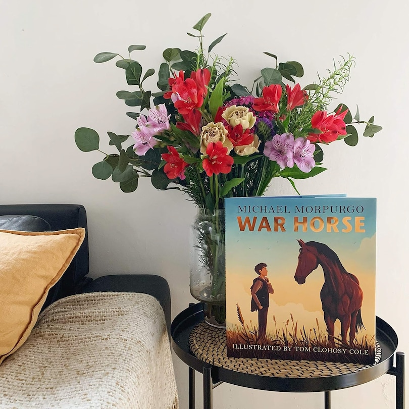 Sample content_War Horse picture book