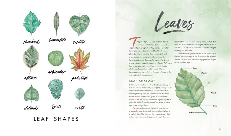 Aperçu du contenu 5_Watercolor Botanicals
