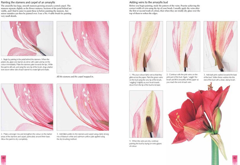 Sample content_Watercolour Flower Portraits