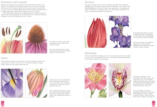 Sample content 2_Watercolour Flower Portraits