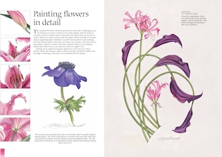 Sample content 3_Watercolour Flower Portraits